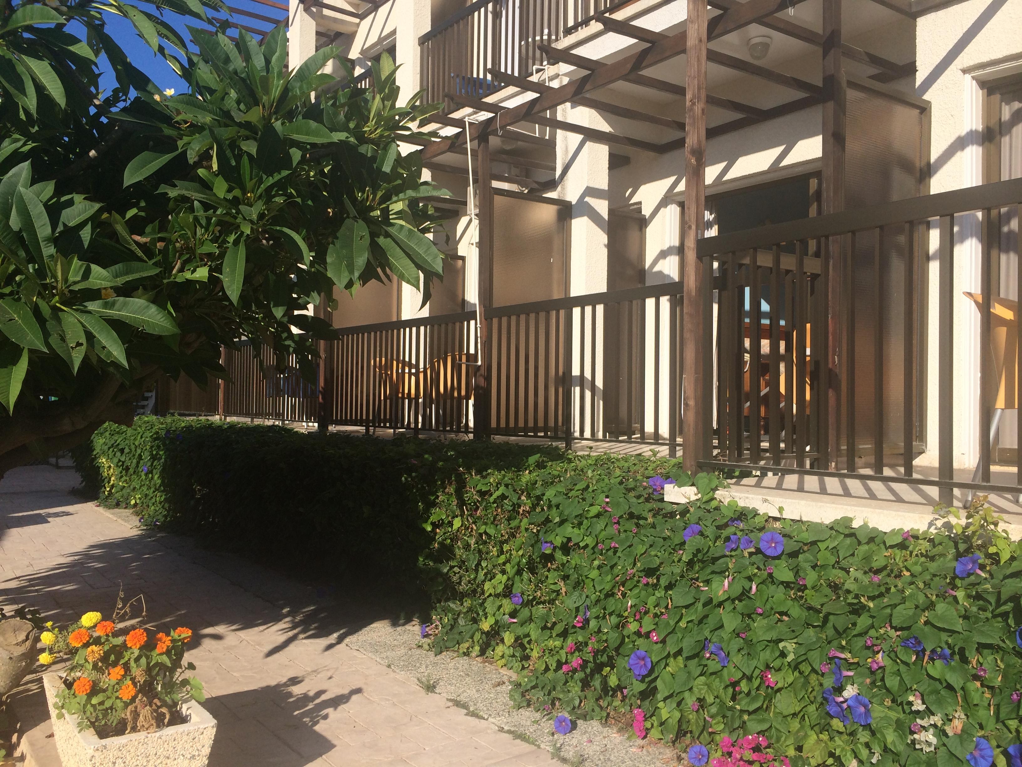King'S Hotel Paphos Exterior photo